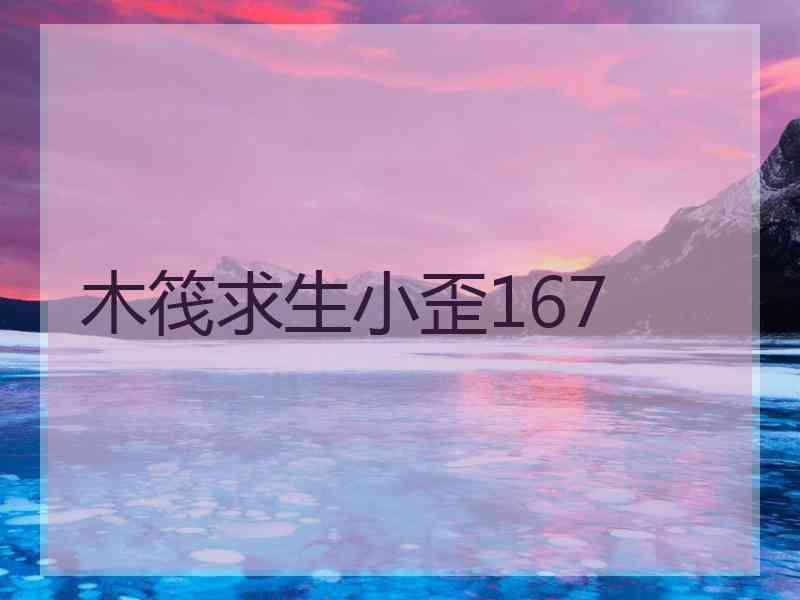 木筏求生小歪167