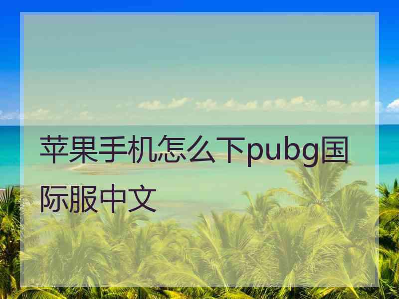 苹果手机怎么下pubg国际服中文