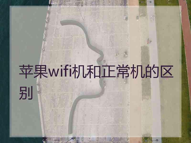 苹果wifi机和正常机的区别