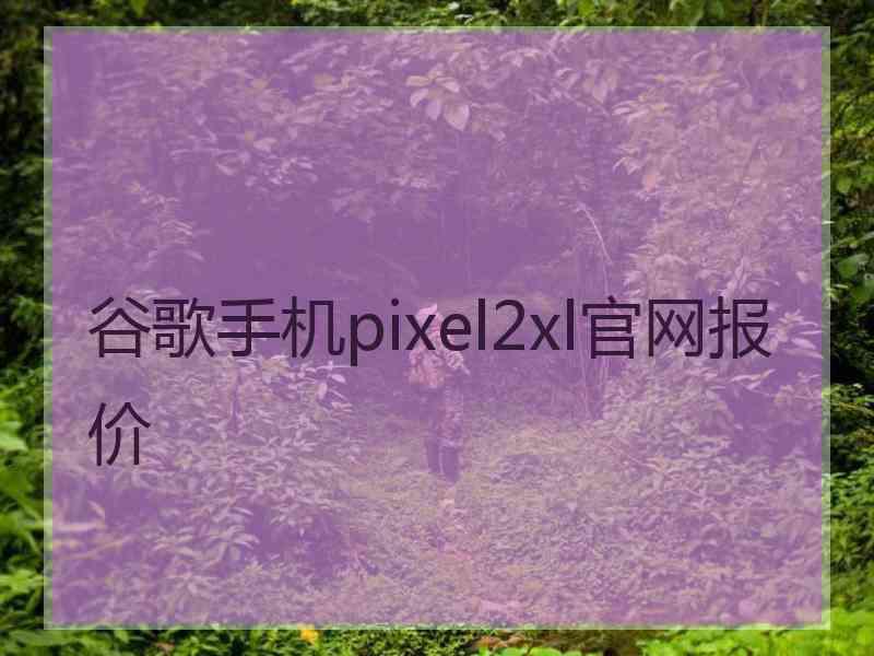 谷歌手机pixel2xl官网报价
