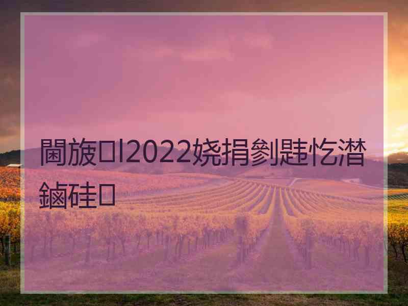 閫旇l2022娆捐剼韪忔澘鏀硅