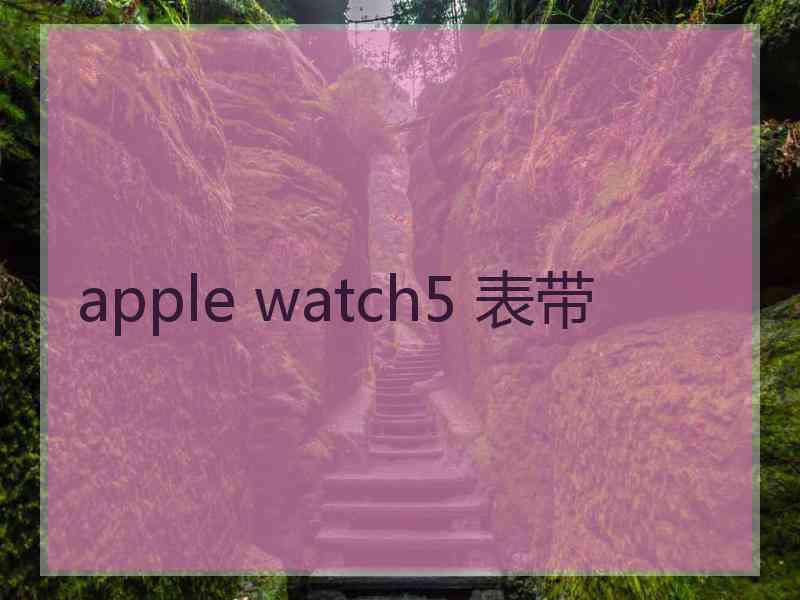 apple watch5 表带