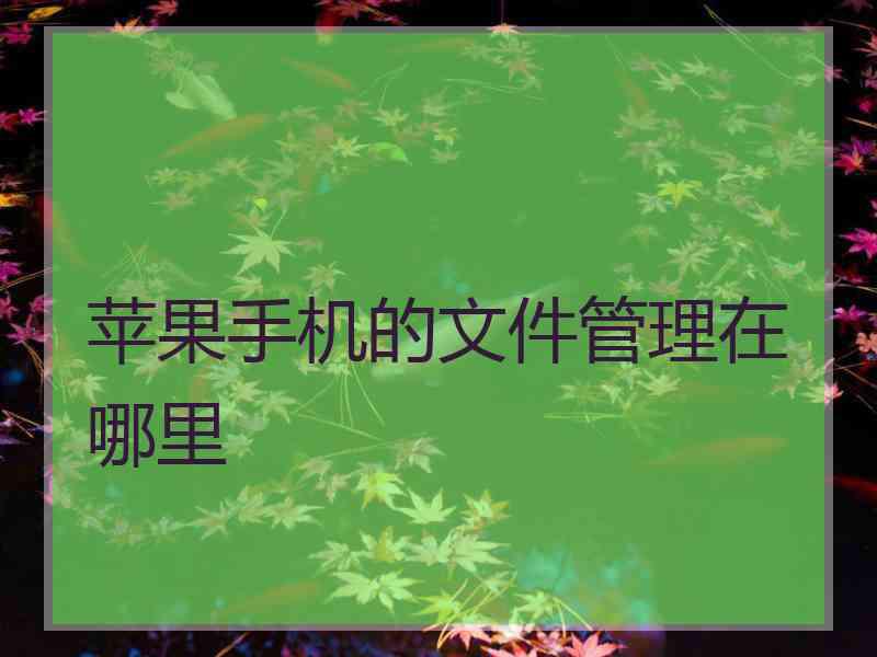 苹果手机的文件管理在哪里