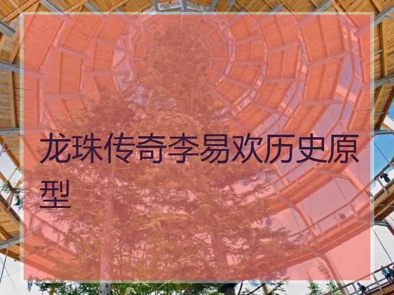 龙珠传奇李易欢历史原型