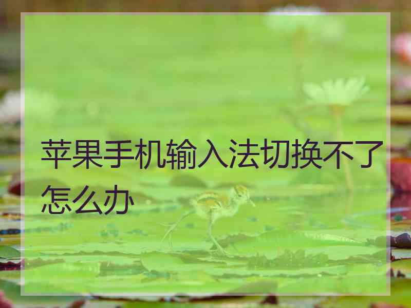 苹果手机输入法切换不了怎么办