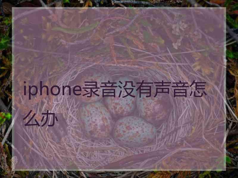 iphone录音没有声音怎么办