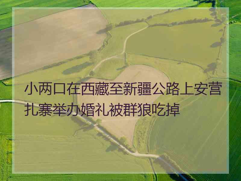 小两口在西藏至新疆公路上安营扎寨举办婚礼被群狼吃掉