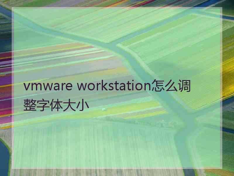 vmware workstation怎么调整字体大小