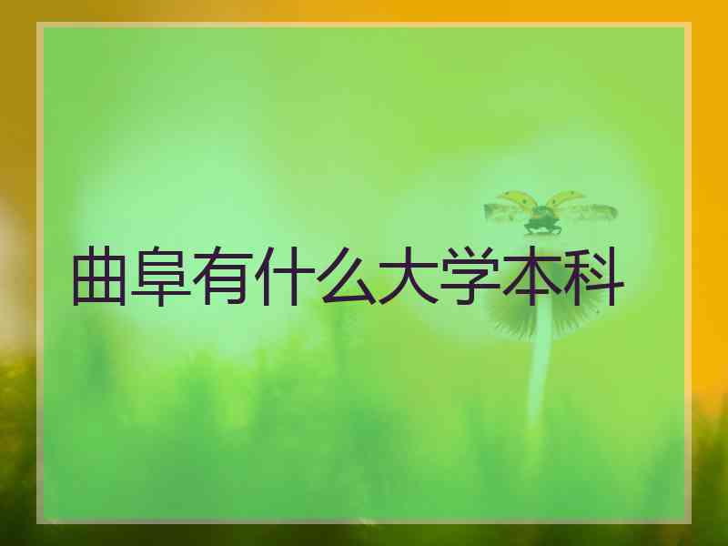 曲阜有什么大学本科