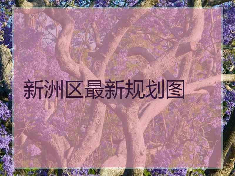 新洲区最新规划图