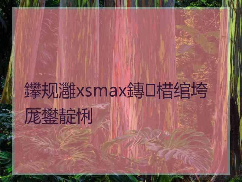 鑻规灉xsmax鏄棤绾垮厖鐢靛悧