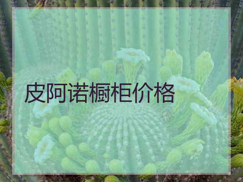 皮阿诺橱柜价格