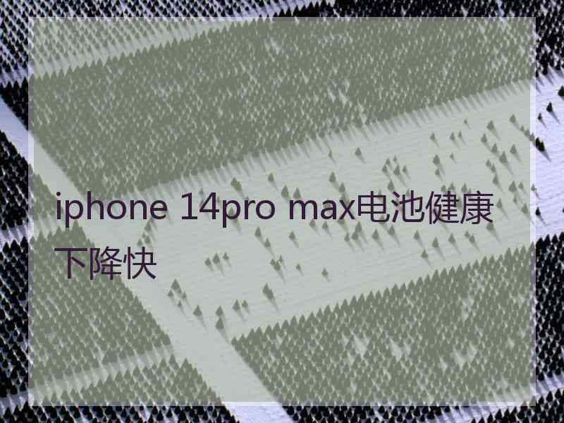 iphone 14pro max电池健康下降快