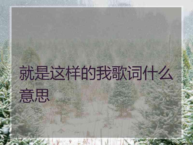 就是这样的我歌词什么意思