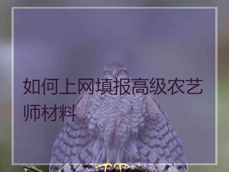 如何上网填报高级农艺师材料