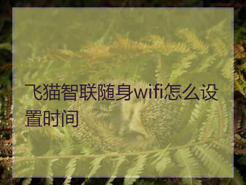 飞猫智联随身wifi怎么设置时间