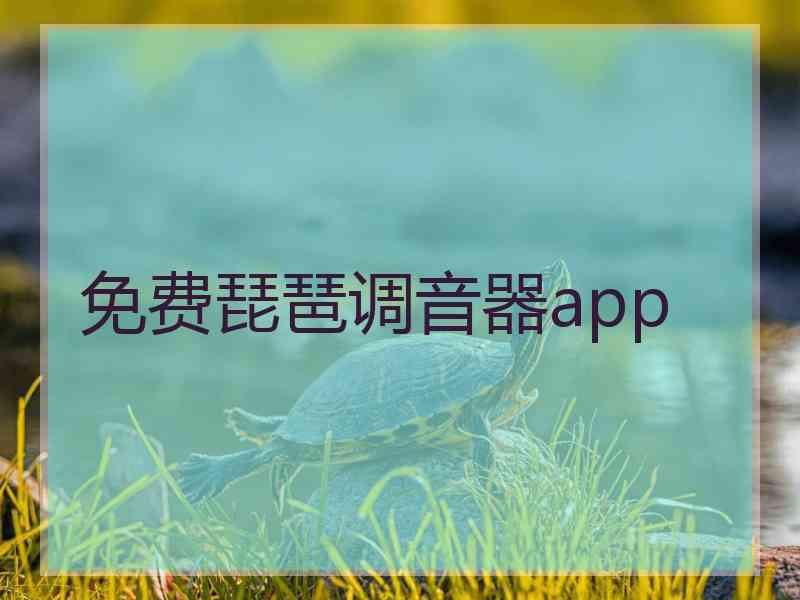 免费琵琶调音器app