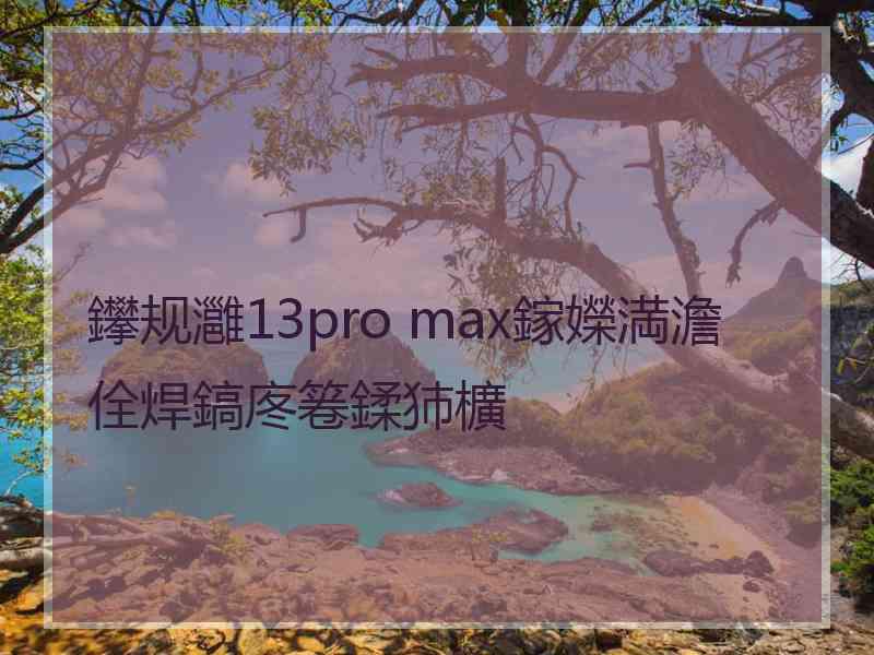 鑻规灉13pro max鎵嬫満澹佺焊鎬庝箞鍒犻櫎