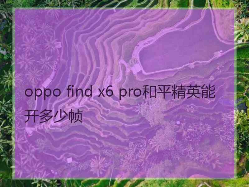 oppo find x6 pro和平精英能开多少帧