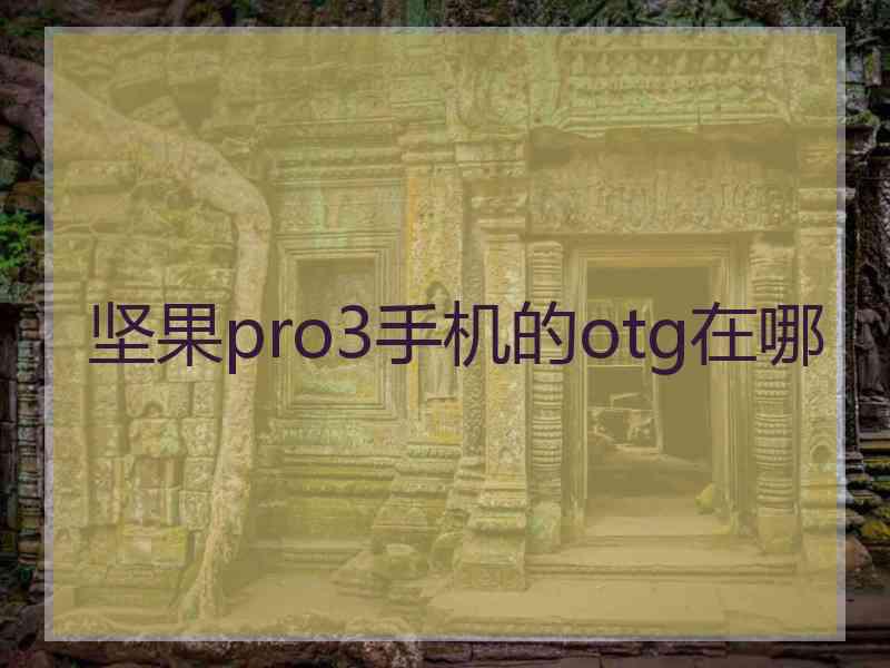 坚果pro3手机的otg在哪