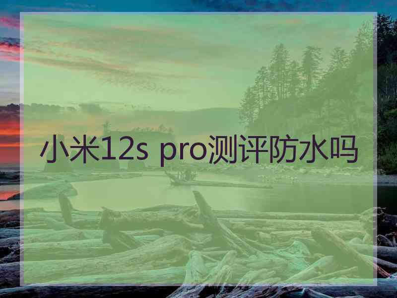 小米12s pro测评防水吗