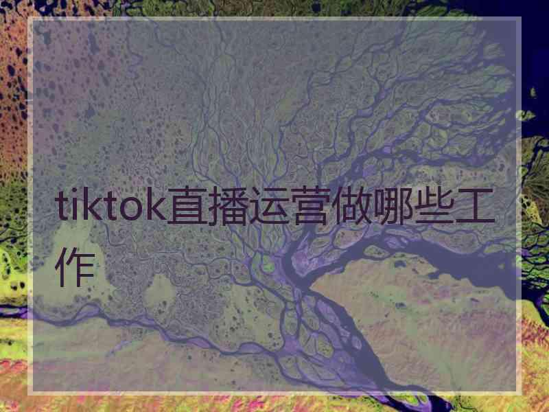 tiktok直播运营做哪些工作