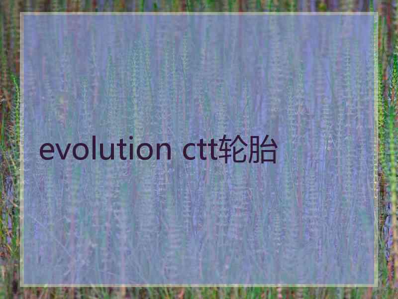 evolution ctt轮胎