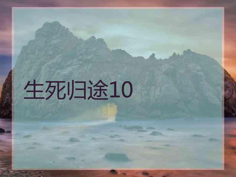 生死归途10