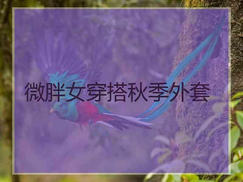 微胖女穿搭秋季外套