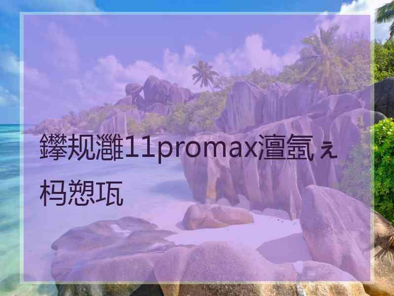 鑻规灉11promax澶氬ぇ杩愬瓨