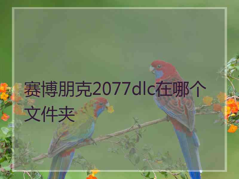 赛博朋克2077dlc在哪个文件夹