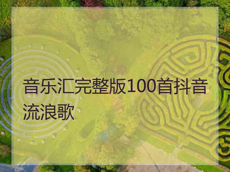 音乐汇完整版100首抖音流浪歌