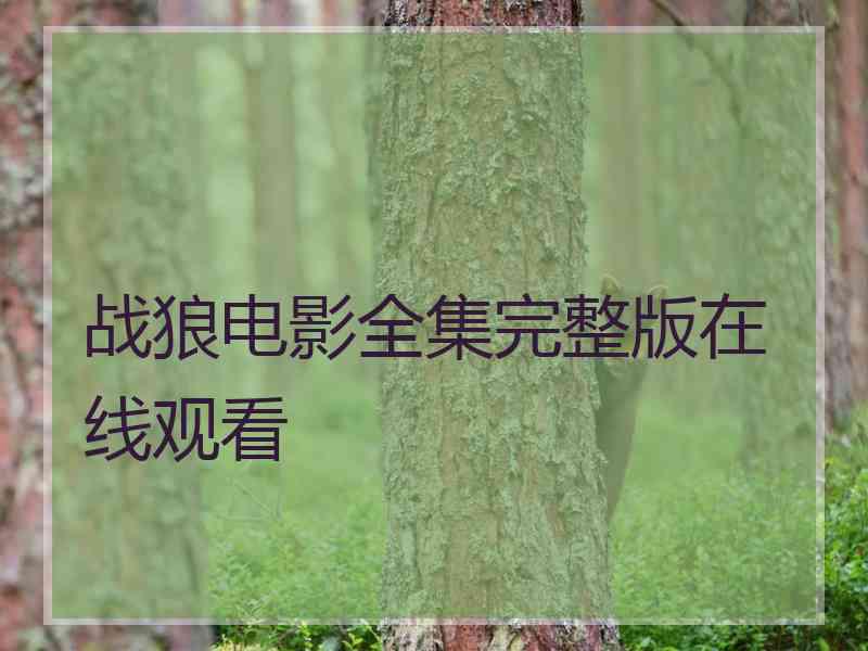 战狼电影全集完整版在线观看