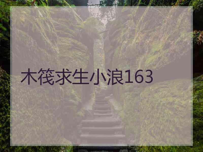 木筏求生小浪163