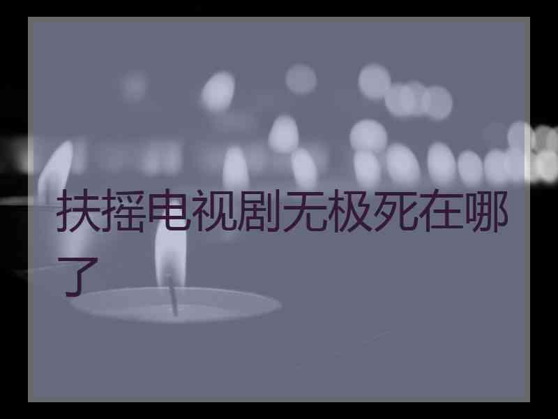 扶摇电视剧无极死在哪了