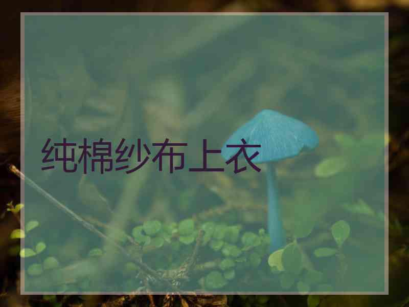 纯棉纱布上衣