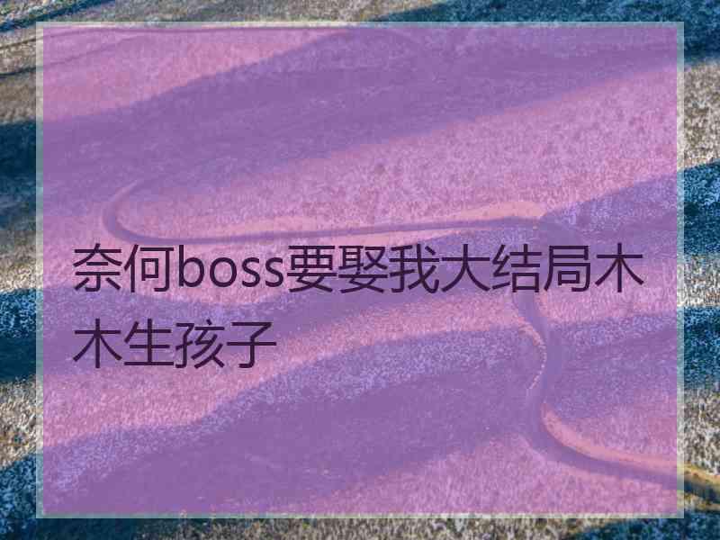 奈何boss要娶我大结局木木生孩子