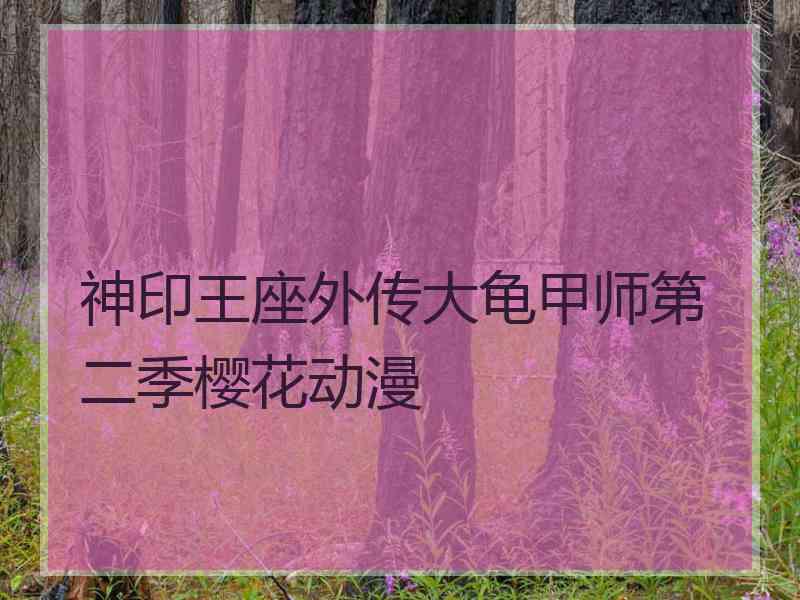 神印王座外传大龟甲师第二季樱花动漫