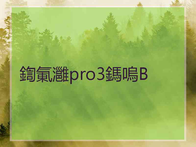 鍧氭灉pro3鎷嗚В