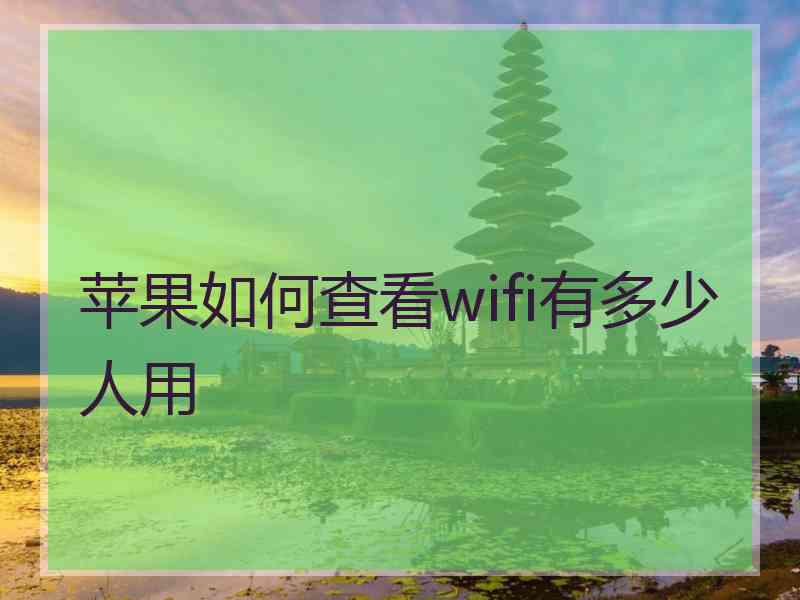 苹果如何查看wifi有多少人用