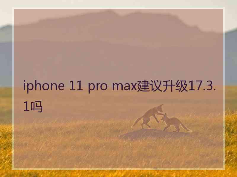 iphone 11 pro max建议升级17.3.1吗