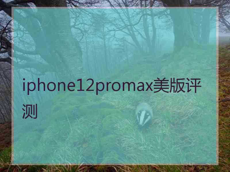 iphone12promax美版评测