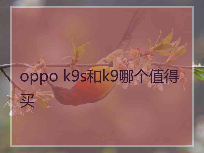 oppo k9s和k9哪个值得买