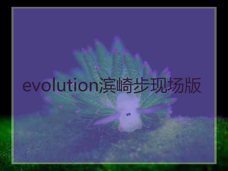 evolution滨崎步现场版