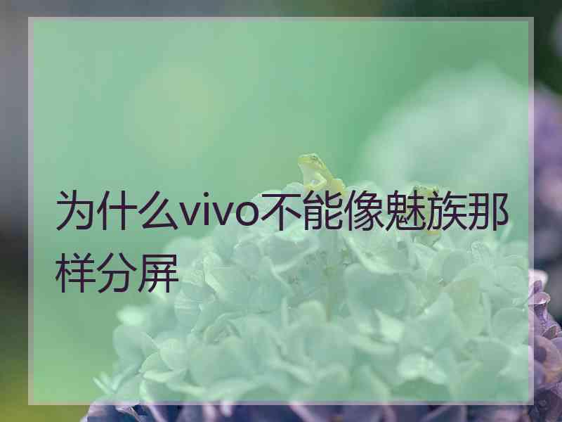 为什么vivo不能像魅族那样分屏