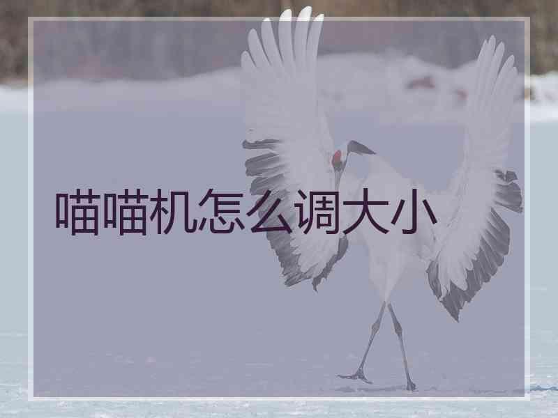 喵喵机怎么调大小