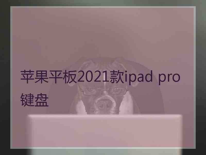 苹果平板2021款ipad pro键盘