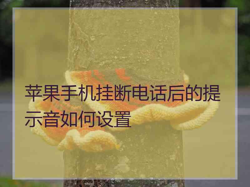 苹果手机挂断电话后的提示音如何设置