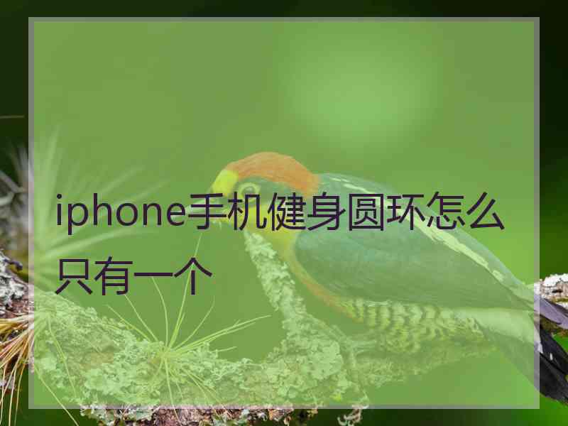 iphone手机健身圆环怎么只有一个