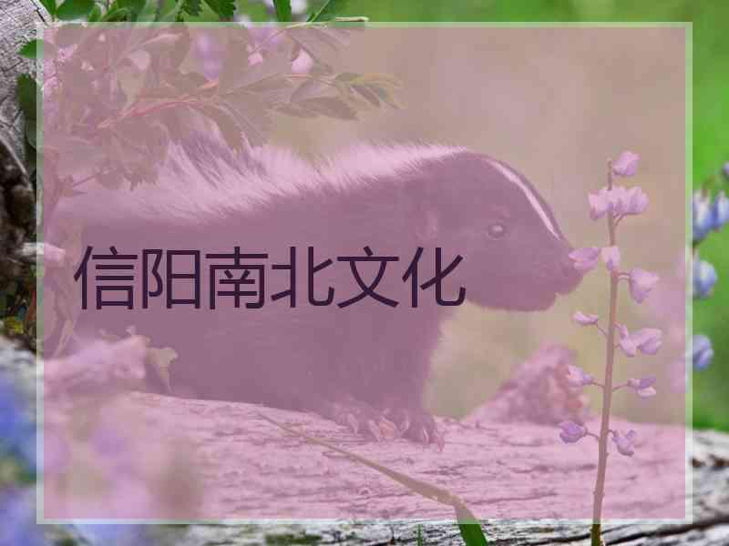 信阳南北文化